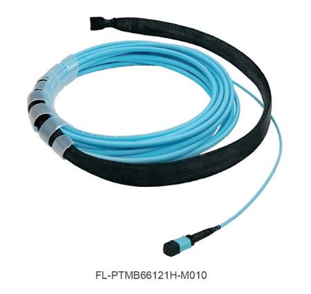 MPO Trunk Cable, Multimode / Singlemode - Wire mesh cover can be purchased for the single end