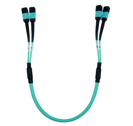 Supports 10G, 40G and 100Gbps