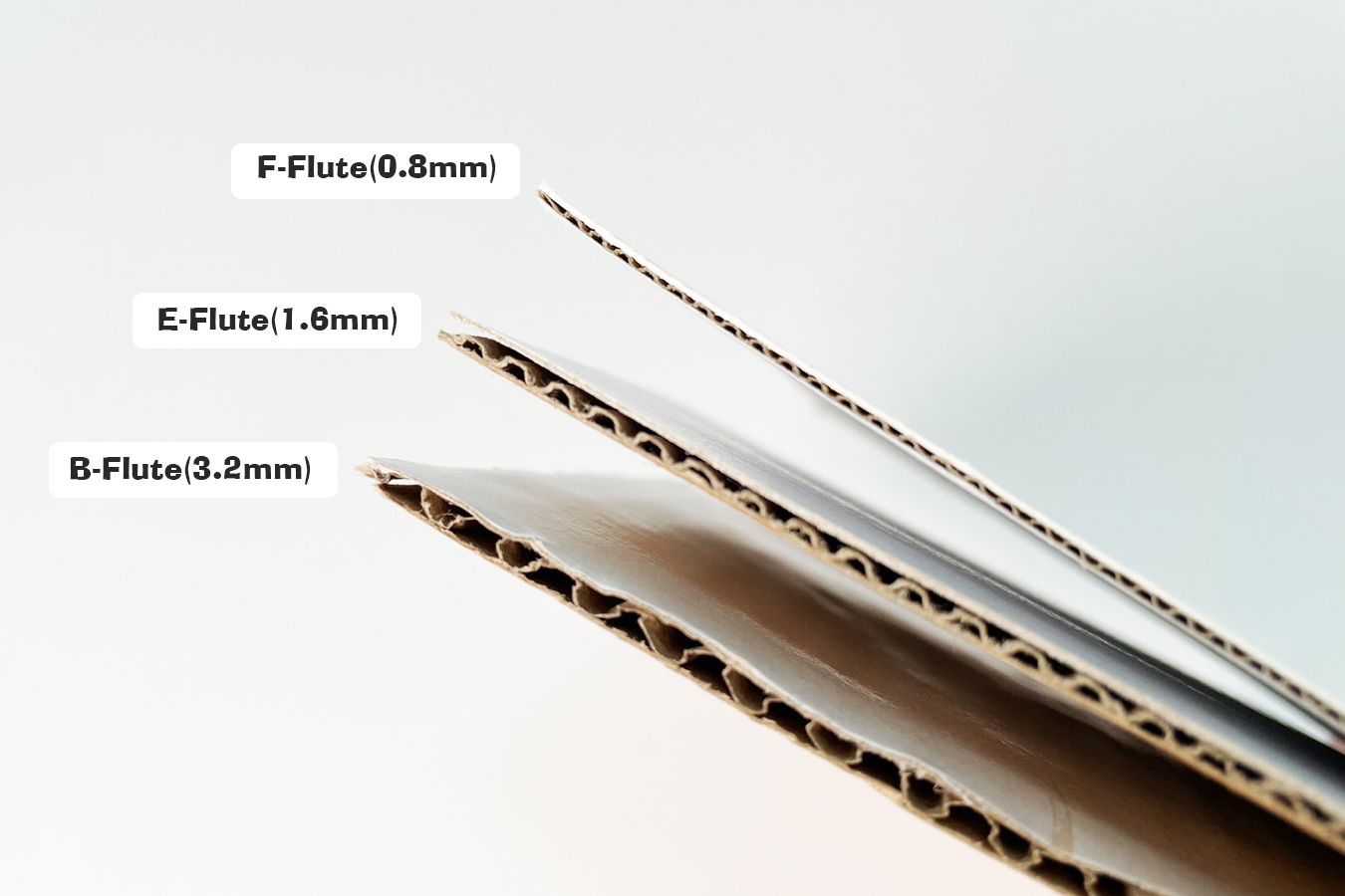 Tùy chọn độ dày cho tấm bìa cứng.