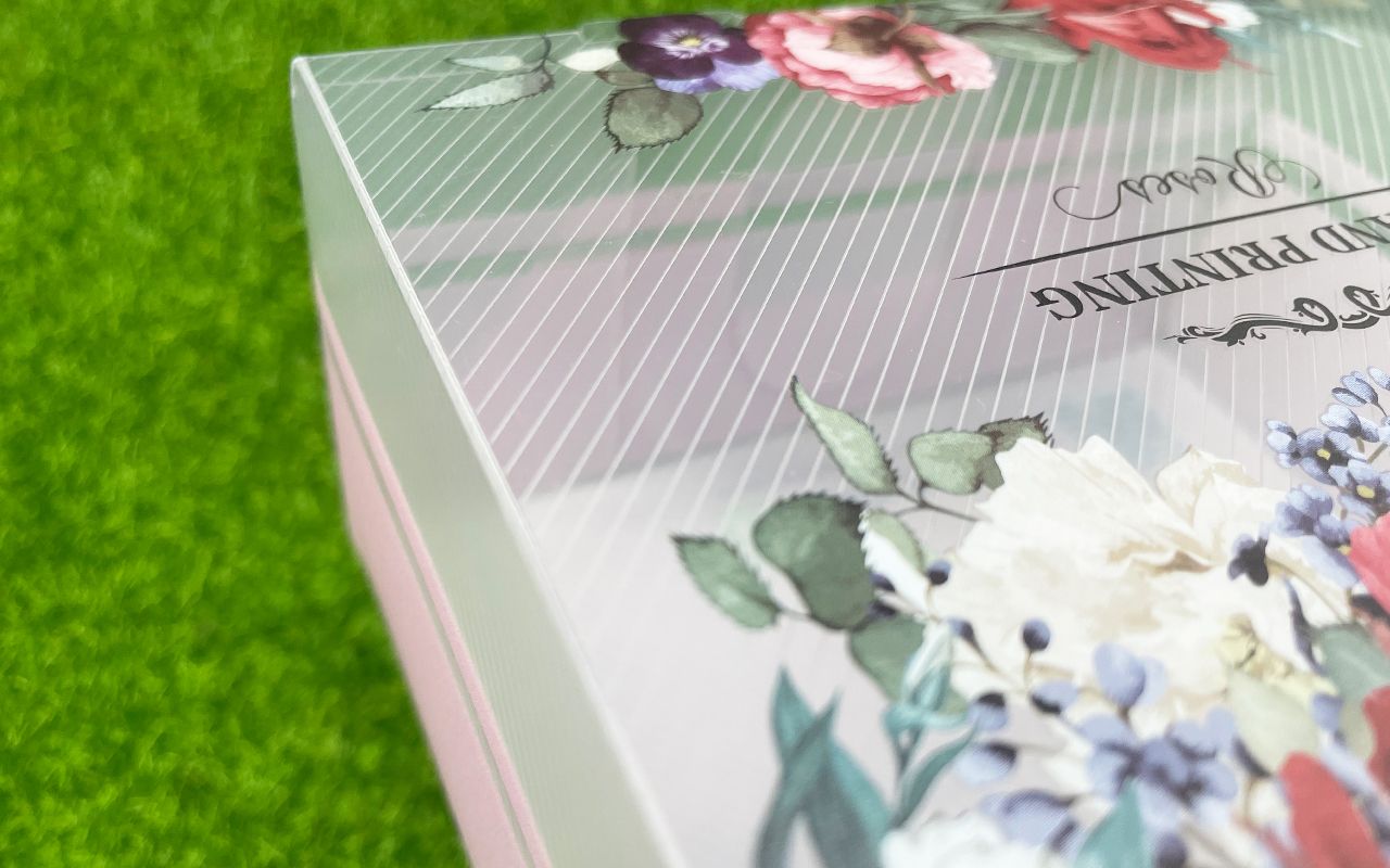 Linee estetiche squisite