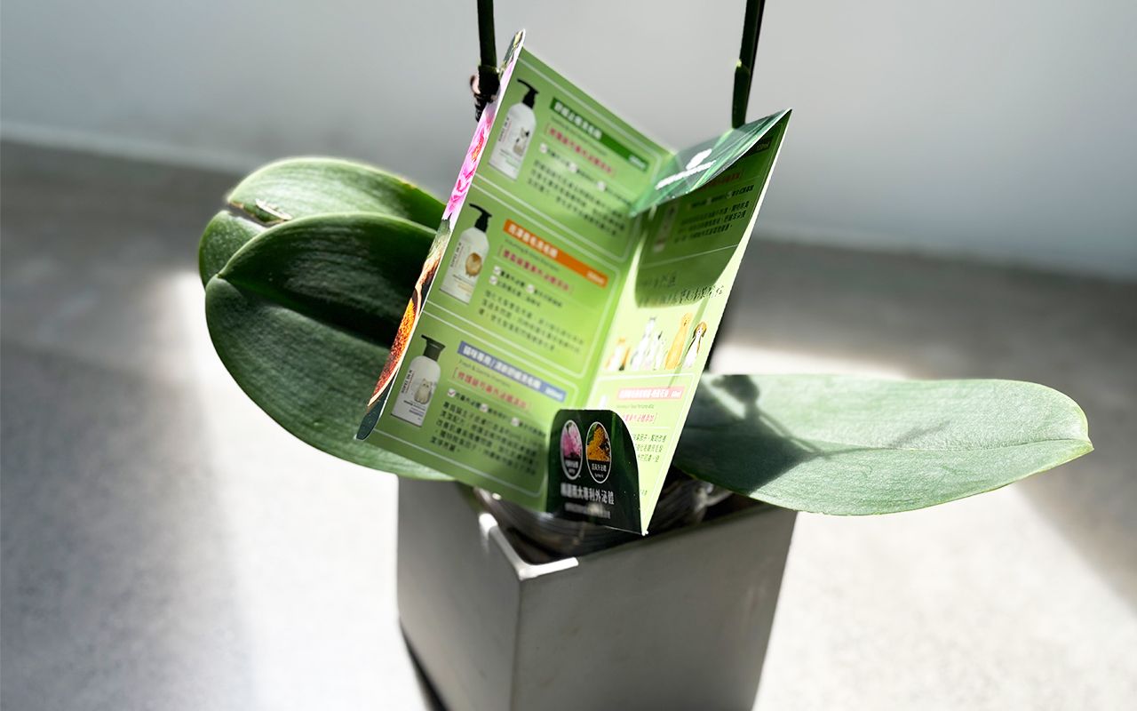 Customized Pet Product Sample Packaging - Tailored Pet Sample Display ...