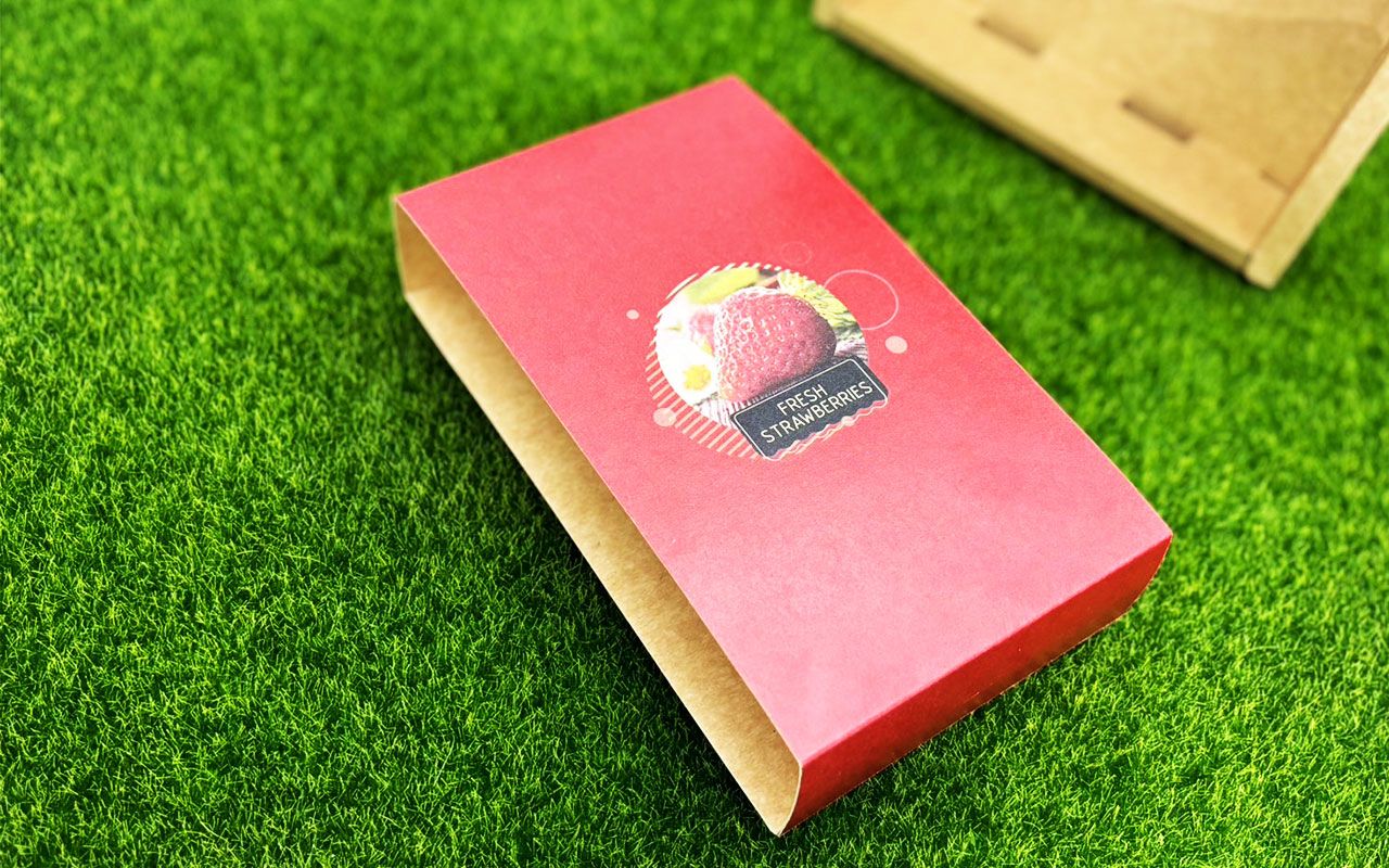 Window Die-Cut Design for Enhanced Product Visibility