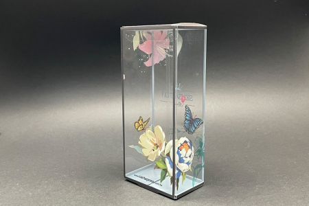 PET műanyag átlátszó doboz hátsó panel