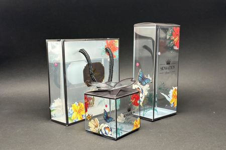 Design de Embalagem da Série Floral Preta - Design de Embalagem da Série Floral Preta