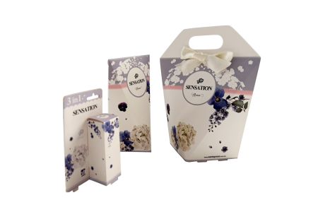 Florale Minimalistische Natürliche Themenverpackungsserie - Florale Minimalistische Natürliche Themenverpackungsserie