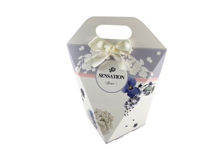 Carry Box with Handle Front view