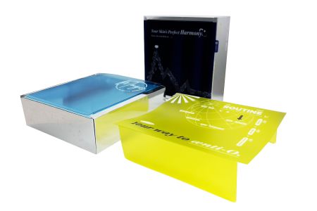 Austauschbare Einlege-PET-Deckelverpackung