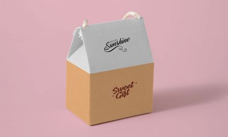 Type de boîte à poignée