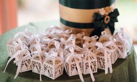 飾帶特殊造型(示意圖)