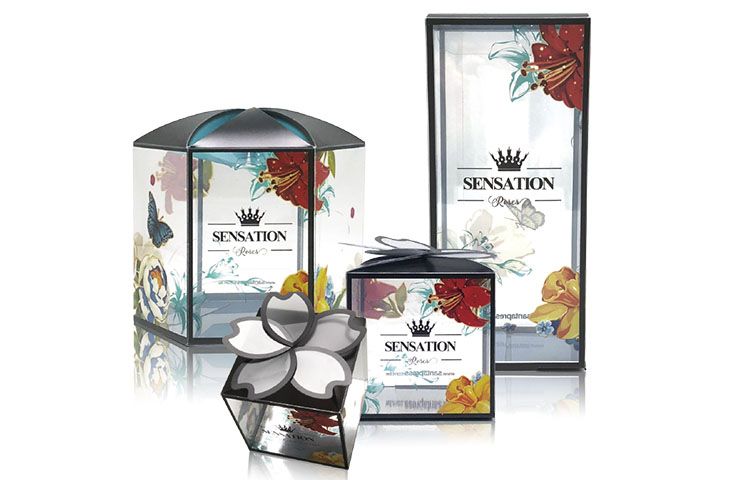Multi Custom Packaging Box and PP Folder Solutions for Every Industry