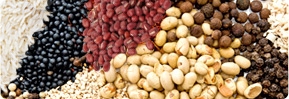 Grains, haricots, agar-agar, aliments et poudre de boulangerie