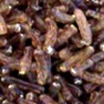 Gélose