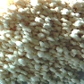 Nitrate d'ammonium