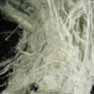 Asbestos