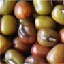 Haricots