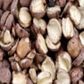 Berberine