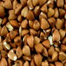 Sarrasin