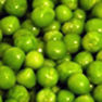 Pea
