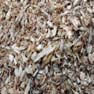 Sciure de bois
