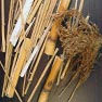 Paille (Riz)
