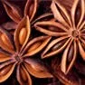 Aniseed