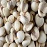 Barley (Wheat)