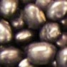 Black Bean