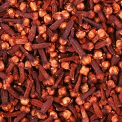 Clove