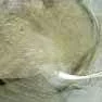 Fiberglass