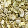 Ngũ cốc
