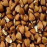 Buckwheat