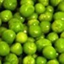 Pea