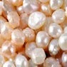 Perle