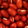 Red Bean