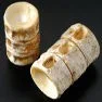 Shark Cartilage