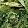 Tea Powder (Raw Tea) (Tea Bags)