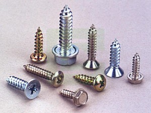 Self Tapping Screw - Self Tapping Screw