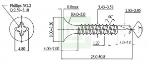 Drywall Screw Drilling point