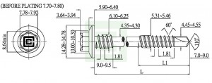 Self Drilling Screw - Self Drilling Screw