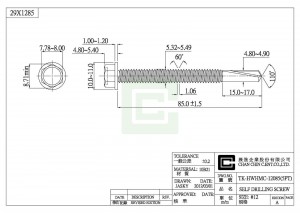 Self Drilling Screw - Self Drilling Screw