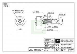 Vis auto-perceuse - Vis auto-perceuse