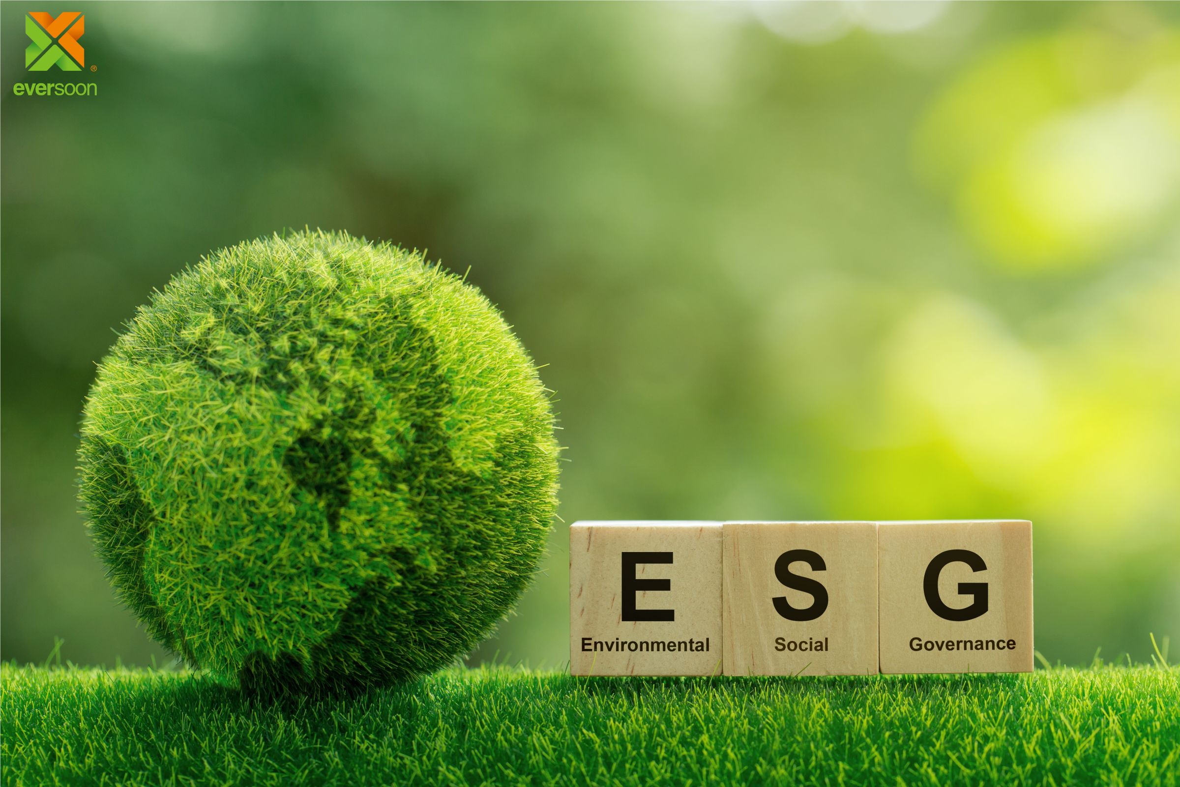 ESG持続可能なビジネス企業になる | 食品加工機械 | 豆腐製造機