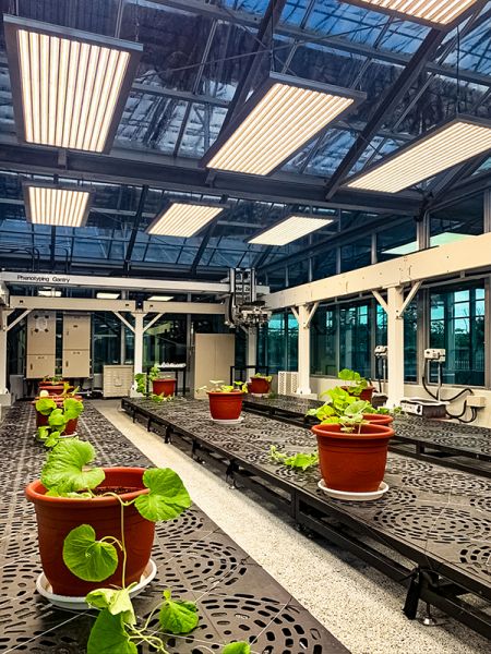 0-10V-os, szabályozható, 500 W-os LED-es üvegházvilágítás üvegházhatású projektekhez