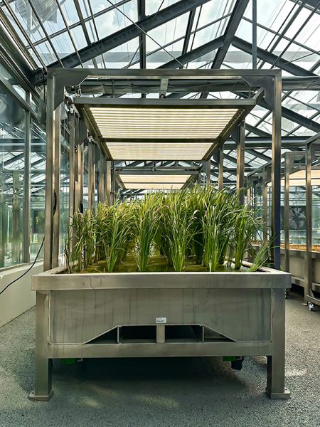 Niestandardowe, regulowane oświetlenie LED do uprawy roślin ze stali nierdzewnej w szklarni