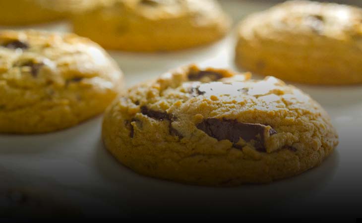 Μηχανήματα και εξοπλισμός Mini Pizza