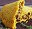 Máy và Thiết bị làm bánh Jamaica |ANKOMáy móc
