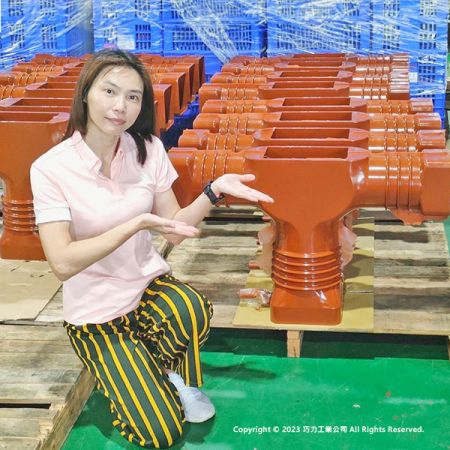 CIC representative showcasing 24 kV epoxy-resin housings for 1ϕ GCB (gas circuit breakers), for high-speed rail (HSR).