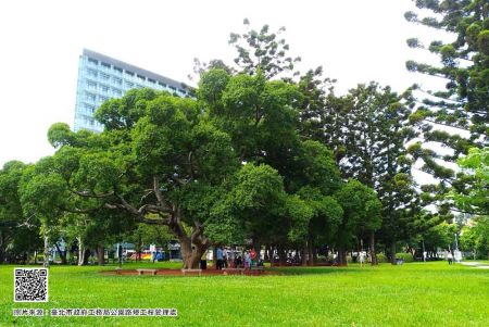 Parc Rongxing Garden (photo par le bureau des parcs et des lampadaires du département des travaux publics de Taipei)