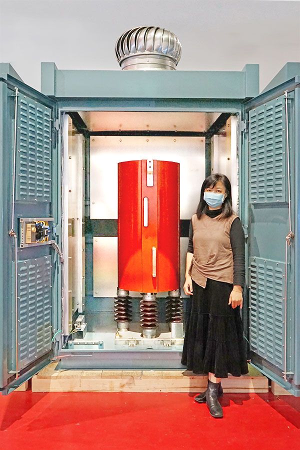 A CIC project manager standing besides the newly completed Air-Core Reactors