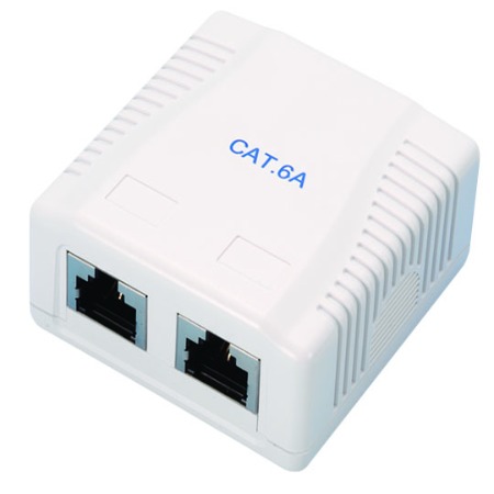 Back Box Networking Cat.6A Shielded Surface Mounting Box 2 Port | EXW Network Solutions
